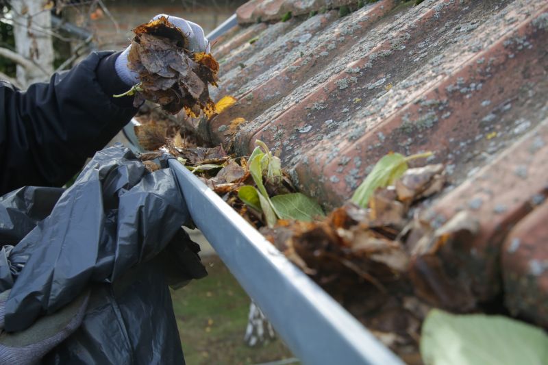 Close-up of Debris-Blocking Gutter Cover