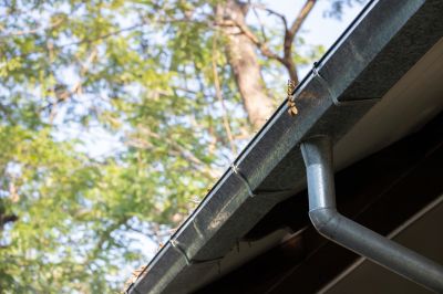 Inside Gutter Inspection
